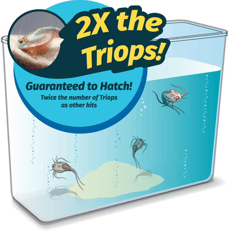 NEW Outback Wildlife Prehistoric Sea Monsters Kit Triops/Shrimp Pets/Sea  Monkeys